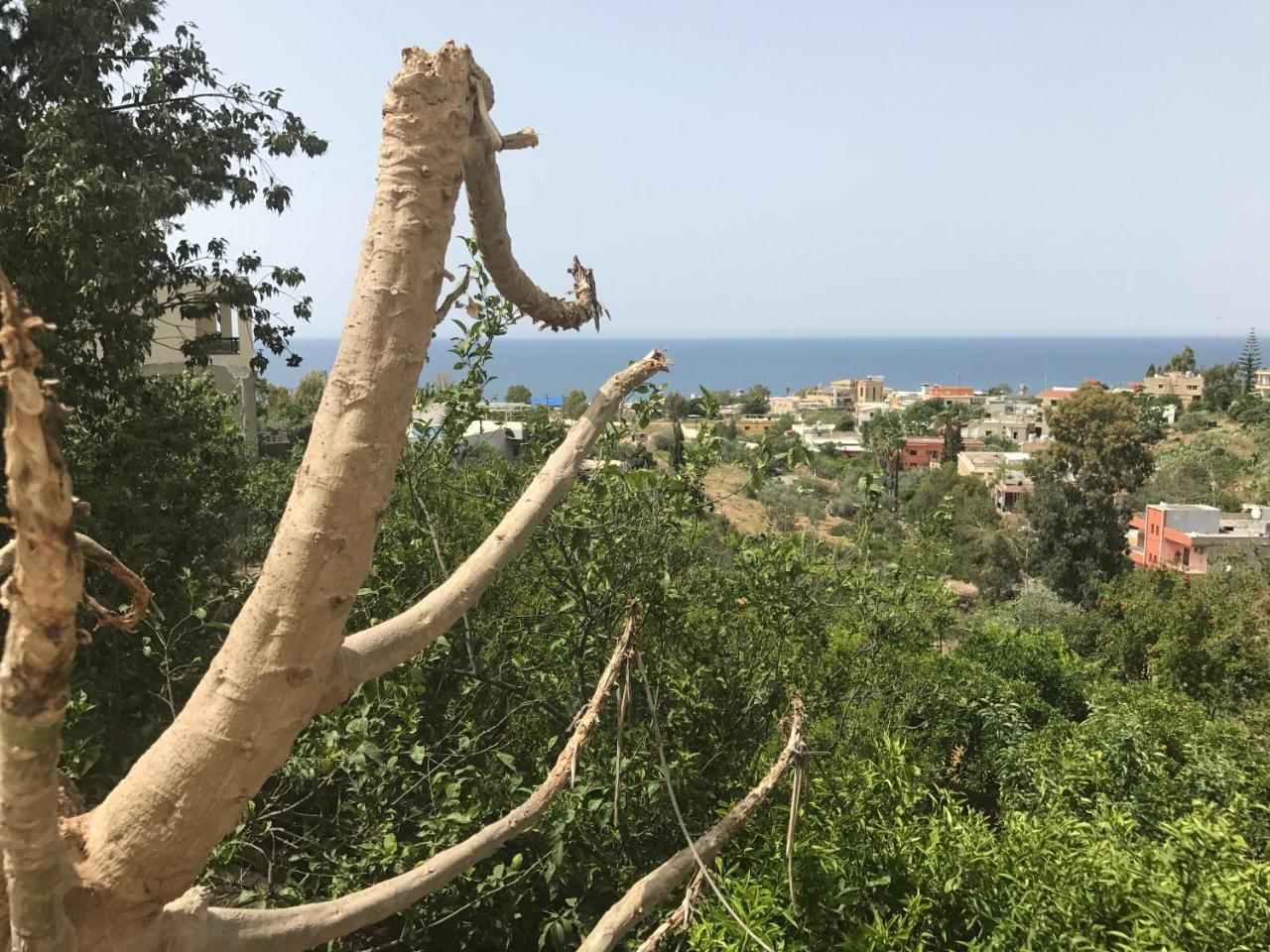 א-נאקורה Luna Motel מראה חיצוני תמונה